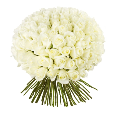 Роскошный букет из 101 белой розы – воплощение бесконечной любви Петрозаводск Республика Карелия