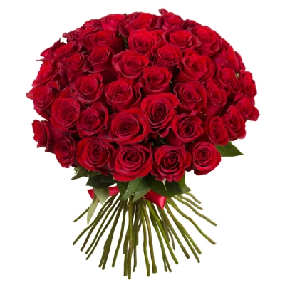 Букет «О, Шарман!» – 51 роскошная эквадорская роза Петрозаводск Республика Карелия