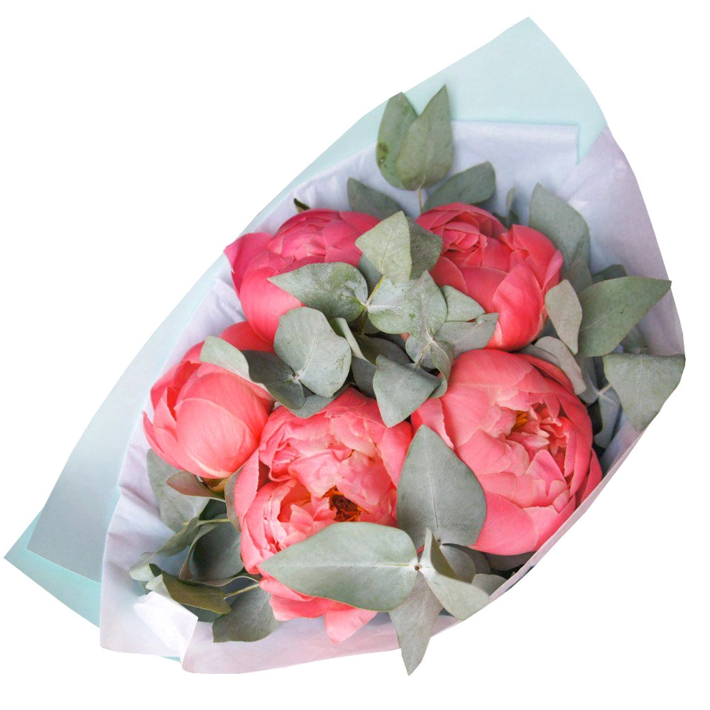 Роскошный букет из коралловых пионов с эвкалиптом – летнее очарование Петрозаводск Республика Карелия