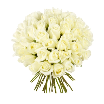 Роскошный букет из 51 белой розы – символ безграничной преданности Петрозаводск Республика Карелия