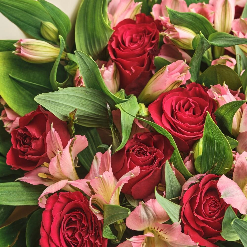 Букет «Нежность слов» — гармония красных роз и нежных альстромерий Петрозаводск Республика Карелия
