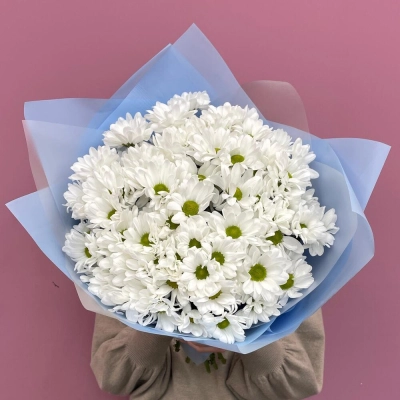 Букет «Ромашковое поле» – свежесть белых хризантем Петрозаводск Республика Карелия