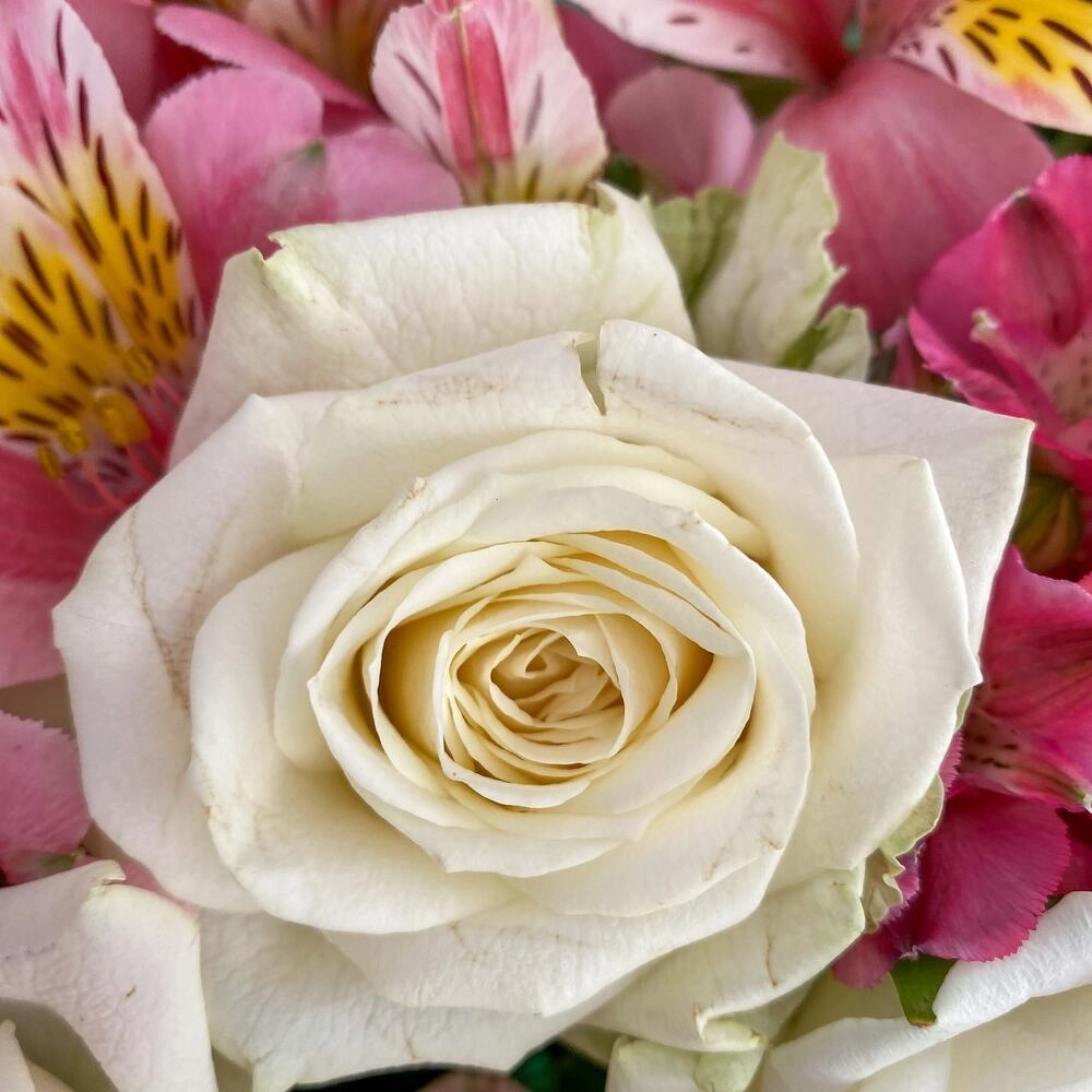 Букет «Николь» – изысканное сочетание роз, кустовых роз и альстромерий Петрозаводск Республика Карелия