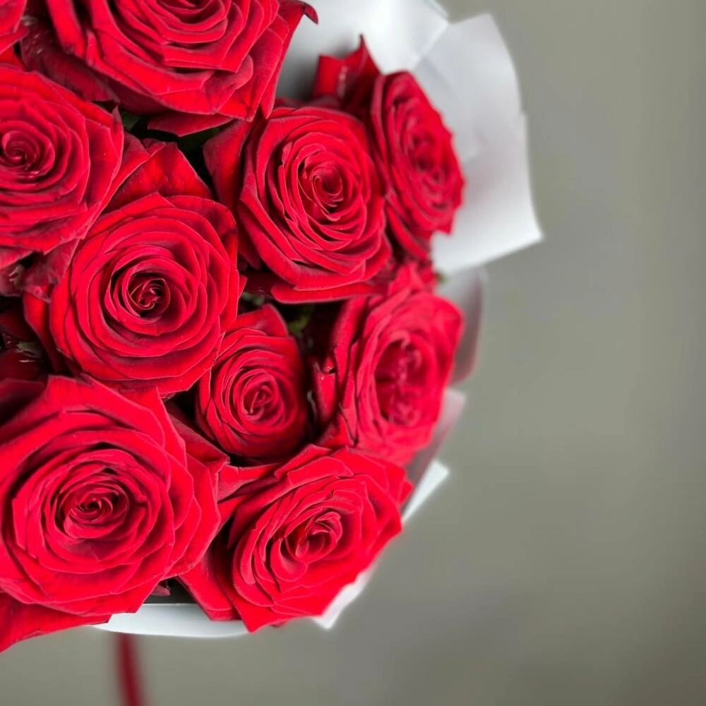 «Королевский бархат» – 25 роскошных красных роз из Эквадора  Петрозаводск Республика Карелия