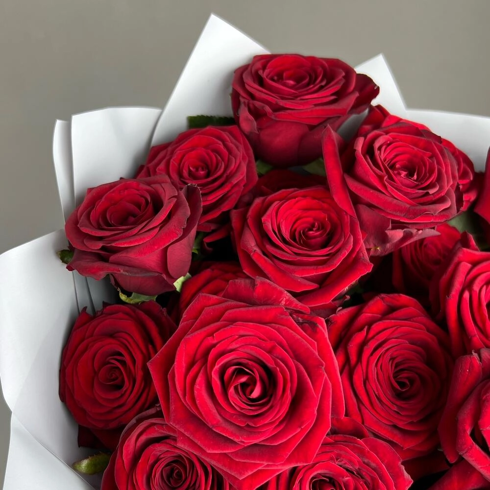 «Королевский бархат» – 25 роскошных красных роз из Эквадора  Петрозаводск Республика Карелия