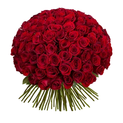 Букет из 101 красной розы – символ бесконечной страсти Петрозаводск Республика Карелия