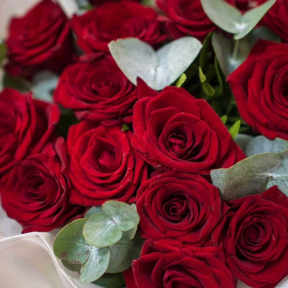 Элегантный букет из 15 красных роз с эвкалиптом – символ страсти и нежности Петрозаводск Республика Карелия