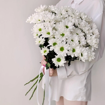 Букет «Ромашка» – 9 белоснежных хризантем в деревенском стиле Петрозаводск Республика Карелия